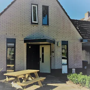 49 , Haarlem Niederlande